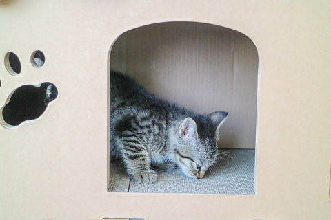 Image of Petique Feline Penthouse House Cat House