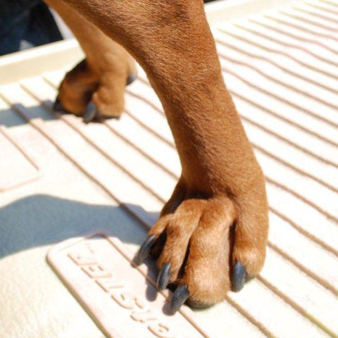 Image of PetStep PS-223 Polypropylene and Fiberglass Half Step Dog Ramp