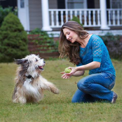 Image of PetSafe Stay and Play Wireless Fence For Cats And Dogs