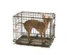 Image of Precision Pet ProValu by Great Crate-Two Door