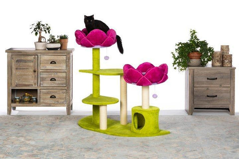 Image of Prevue Pet Kitty Power Paws Flower Garden