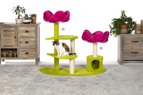 Image of Prevue Pet Kitty Power Paws Flower Garden