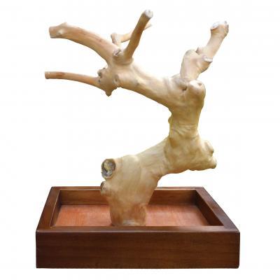 Image of Prevue Pet CoffeaWood Tree Floor Stand or Mini Table