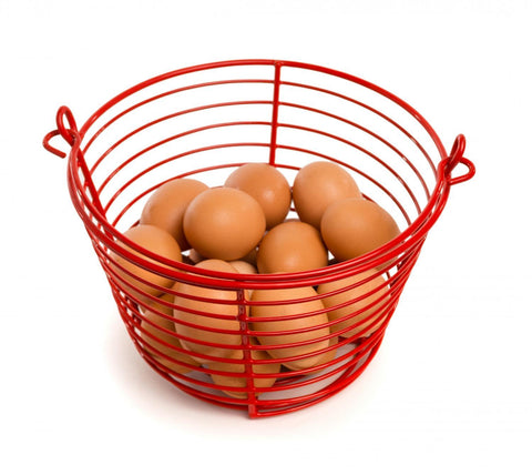 Image of Prevue Pet Egg Basket 8 Inch Diameter