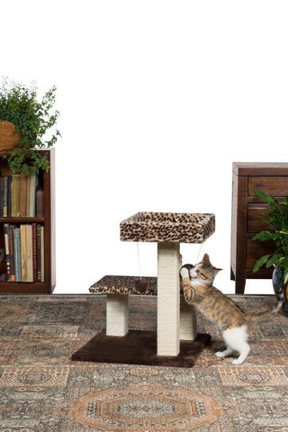 Image of Prevue Pet Kitty Power Paws Leopard Terrace