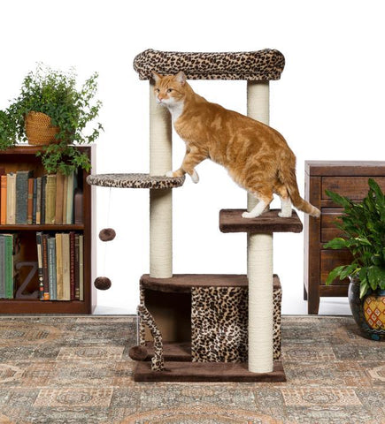 Image of Prevue Pet Kitty Power Paws Leopard Lounge