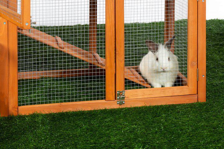 Prevue Pet Chicken Coop/Rabbit Hutch with Double-Run