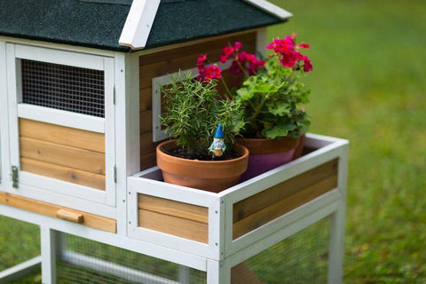 Image of Prevue Pet Chicken Coop with Herb Planter