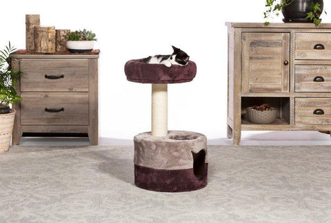 Image of Prevue Pet Kitty Power Paws Kitty King