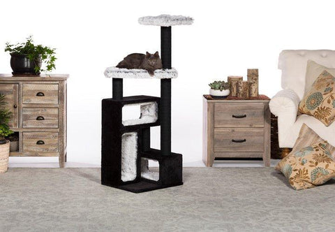 Image of Prevue Pet Kitty Power Paws Domino