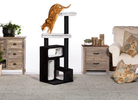 Image of Prevue Pet Kitty Power Paws Domino