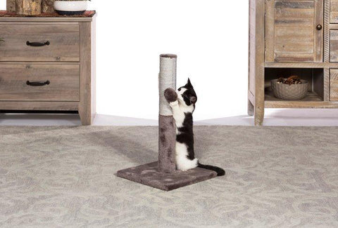 Image of Prevue Pet Kitty Power Paws Play & Scratch