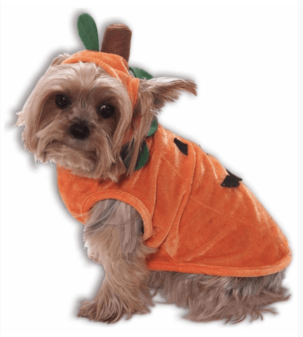 Image of SimplyDog Furry Pumpkin Pet Costume