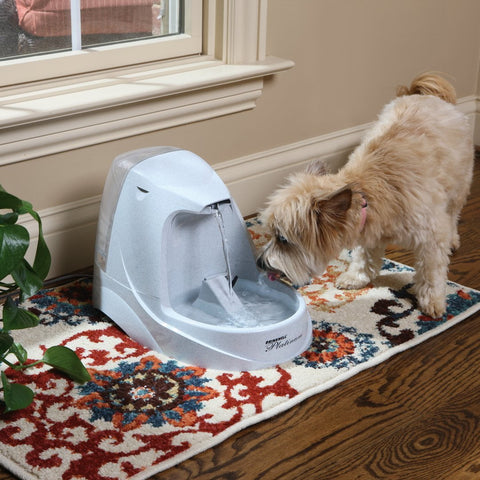 Image of PetSafe Drinkwell Platinum Pet Fountain