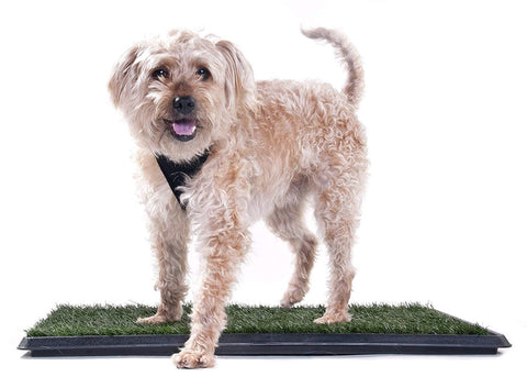 Image of Prevue Pet Products Tinkle Turf System