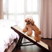 Image of Merry Products Collapsible Pet Ramp