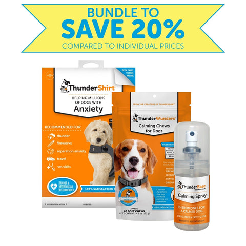 Image of Summer Survival Storm/ Fireworks Stress Relief ThunderShirt® + ThunderEase + ThunderWunders Calming Chews Bundle Set