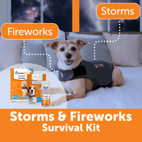 Image of Summer Survival Storm/ Fireworks Stress Relief ThunderShirt® + ThunderEase + ThunderWunders Calming Chews Bundle Set