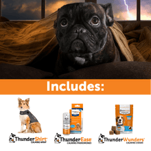 Summer Survival Storm/ Fireworks Stress Relief ThunderShirt® + ThunderEase + ThunderWunders Calming Chews Bundle Set