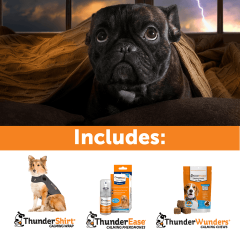 Image of Summer Survival Storm/ Fireworks Stress Relief ThunderShirt® + ThunderEase + ThunderWunders Calming Chews Bundle Set