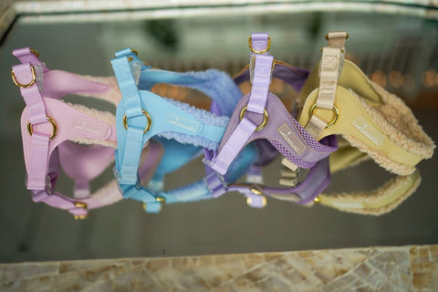 Image of Cavology Pastel Step In Dog Harness Easy -O Sherpa