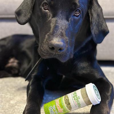 Image of Meowijuana Doggijuana® Juananip™ Refill Bottle - 12/case