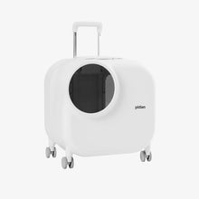 Pidan Smart Pet Traveler with Led Lights Set