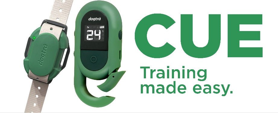Dogtra CUE Green Remote Trainer