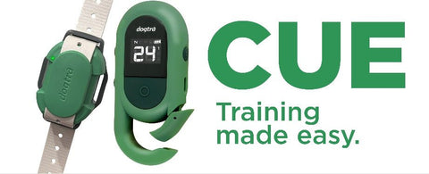 Image of Dogtra CUE Green Remote Trainer