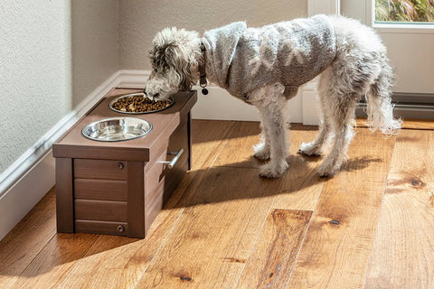 Image of New Age Pet® Piedmont Raised Pet Diner