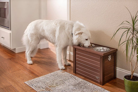 Image of New Age Pet® Piedmont Raised Pet Diner