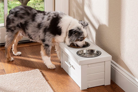 Image of New Age Pet® Piedmont Raised Pet Diner