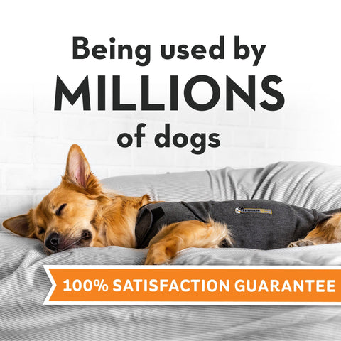 Image of Summer Survival Storm/ Fireworks Stress Relief ThunderShirt® + ThunderEase + ThunderWunders Calming Chews Bundle Set