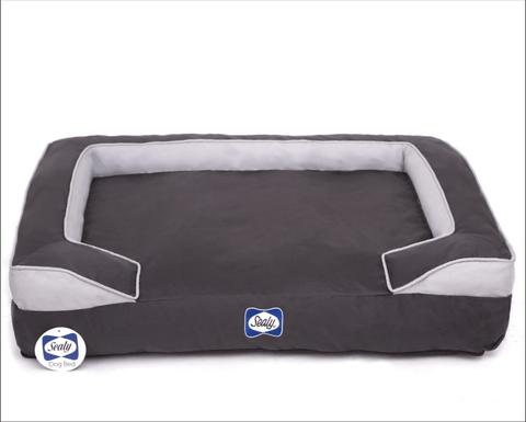 Image of Sealy Embrace Memory and Orthopedic Foam Dog Bed