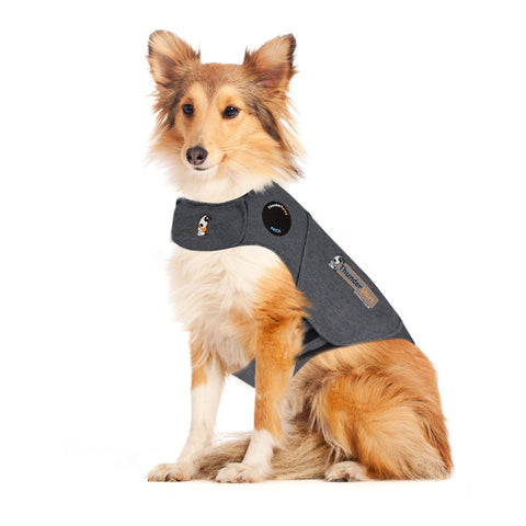Image of Summer Survival Storm/ Fireworks Stress Relief ThunderShirt® + ThunderEase + ThunderWunders Calming Chews Bundle Set