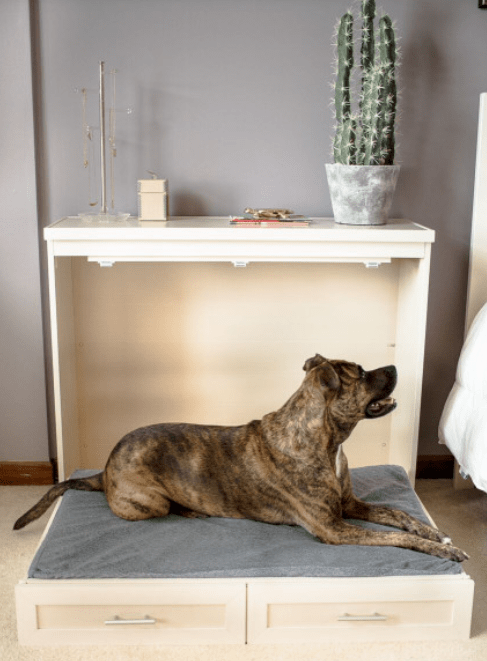 New Age Pet Garden Murphy Bed with Memory Foam Cushion Care