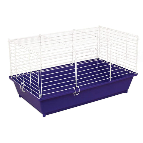 Image of Kaytee Rabbit Starter Kit- Purple