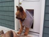 Hale Pet Door - In-Door Mount Installation- Dog & Cat Door