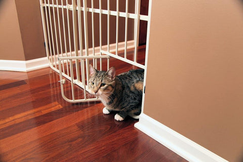 Image of Carlson Big Tuffy Expandable Gate with Small Pet Door