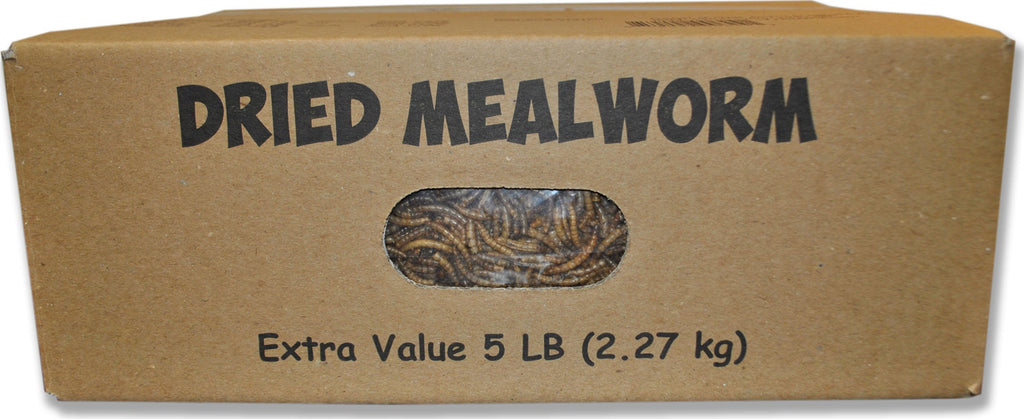 Mealworms To Go Dried Mealworms