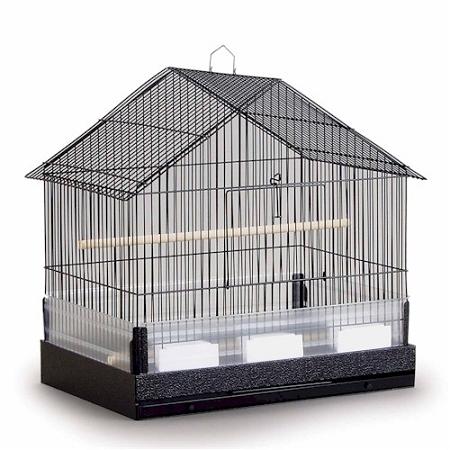 Image of birds, Parrots, Budgerigar, Cockatiel, Finches, Domestic canary, Cockatoos, Lovebird, Grey parrot, Poinus, Amazon parrot, Green-cheeked Parakeet, House Style, Prevue Pet