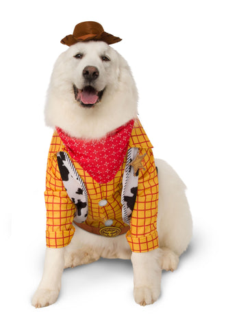 Image of Rubie's Costume Company Officially Licensed Toy Story Big Dogs Woody Costume