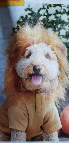 Courageous Lion Hoody Pet Costume
