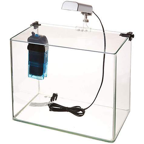 Penn Plax Radius Curved Corner Glass Aquarium Kit- 5 Gallons