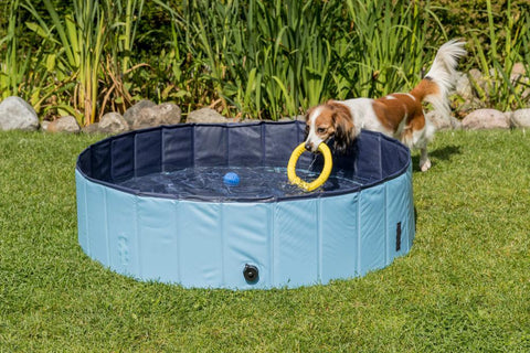 Image of Trixie Pet Dog Pool