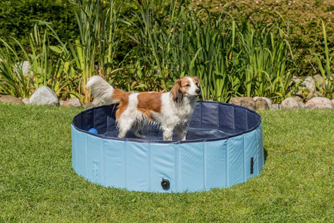 Image of Trixie Pet Dog Pool