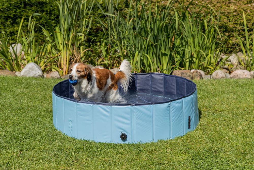 Trixie Pet Dog Pool