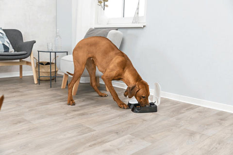 Image of Trixie Pet TX2 Automatic Food Dispenser, Dual Compartments, Dual Timer, Gray/Black