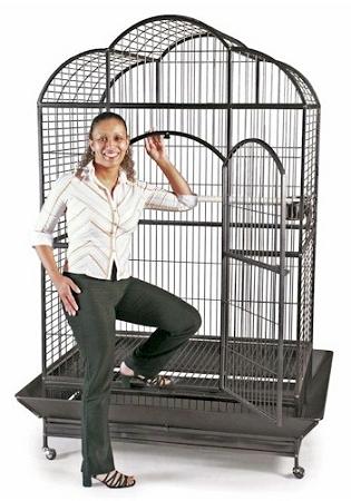 Image of Prevue Pet Wrought Iron Silverado Macaw Dometop Bird Cage