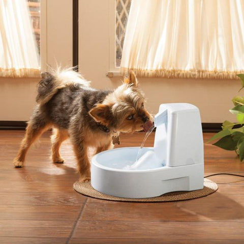 Image of PetSafe Drinkwell® Original Pet Drinking Fountain For Cats And Dogs
